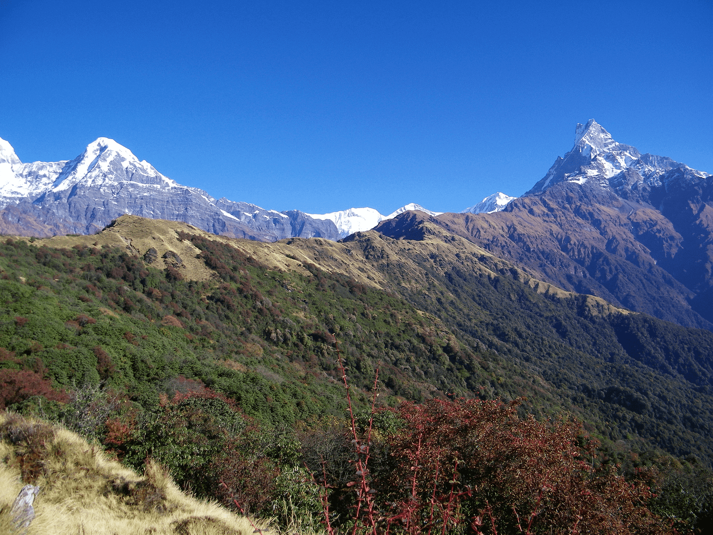 Annapurna Trek